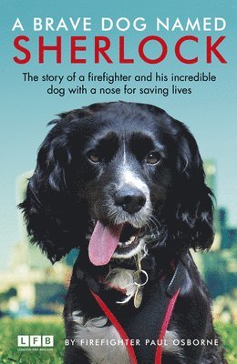 Brave Dog Named Sherlock