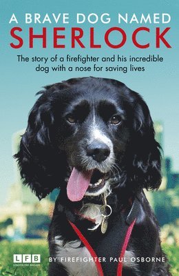 A Brave Dog Named Sherlock 1