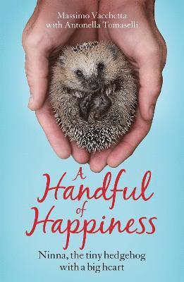 bokomslag Handful of Happiness