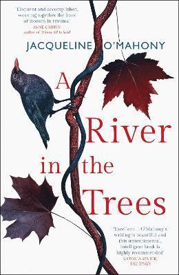 Jacqueline O'Mahony - River in the Trees, Häftad