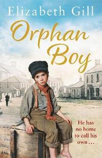 bokomslag Orphan Boy