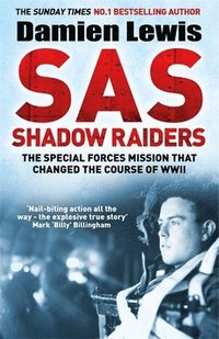 bokomslag Sas Shadow Raiders