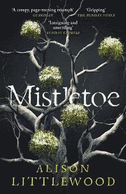 bokomslag Mistletoe