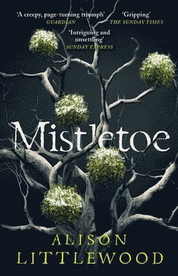 Mistletoe 1