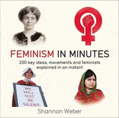 bokomslag Feminism in Minutes