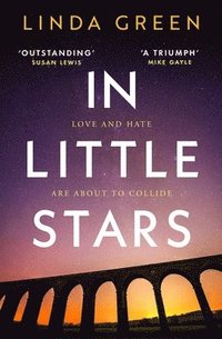 bokomslag In Little Stars