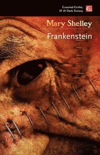 bokomslag Frankenstein