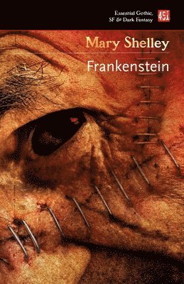 bokomslag Frankenstein