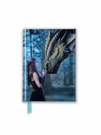 bokomslag Anne Stokes: Once Upon a Time (Foiled Pocket Journal)