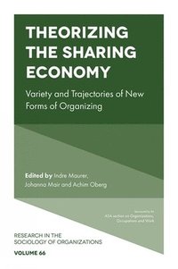 bokomslag Theorizing the Sharing Economy