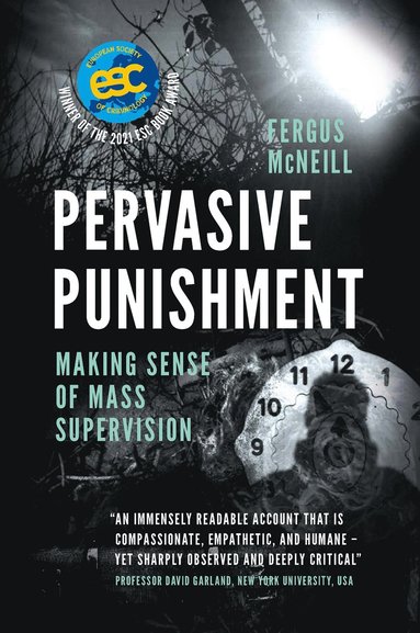 bokomslag Pervasive Punishment