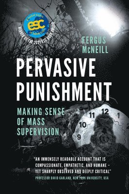 Pervasive Punishment 1