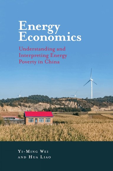 Yi-Ming Wei, Hua Liao - Energy Economics, Inbunden