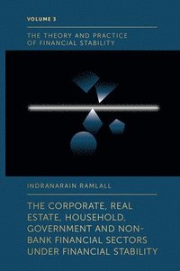 bokomslag The Corporate, Real Estate, Household, Government and Non-Bank Financial Sectors Under Financial Stability