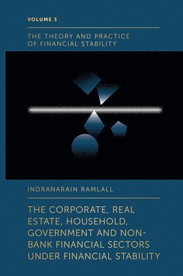 bokomslag The Corporate, Real Estate, Household, Government and Non-Bank Financial Sectors Under Financial Stability