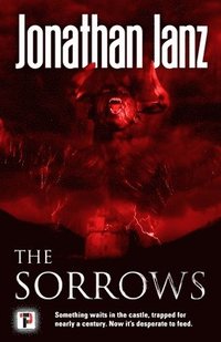bokomslag Sorrows