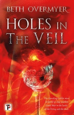 Beth Overmyer - Holes in the Veil, Inbunden