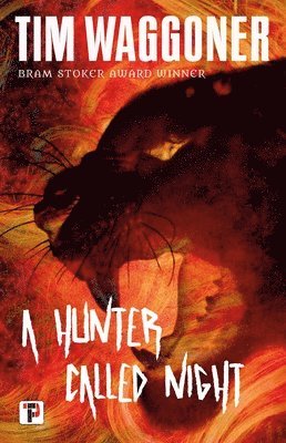 bokomslag Hunter Called Night