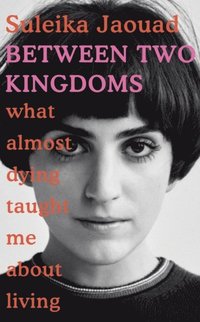 bokomslag Between Two Kingdoms: What almost dying taught me about living
