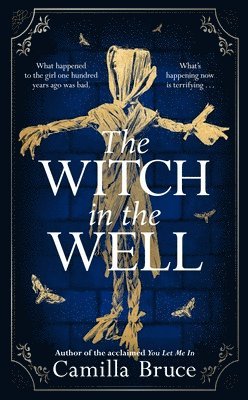 Camilla Bruce - The Witch in the Well : A deliciously disturbing Gothic tale of a revenge reaching out across the years, Inbunden