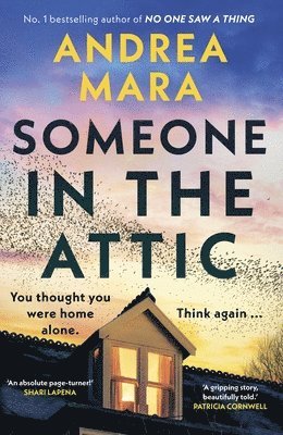 Someone in the Attic 1