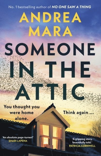 Someone In The Attic 1