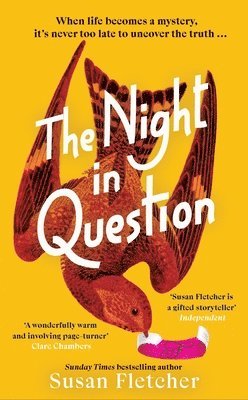 Susan Fletcher - Night in Question, Inbunden