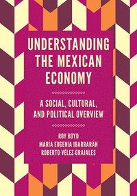 bokomslag Understanding the Mexican Economy