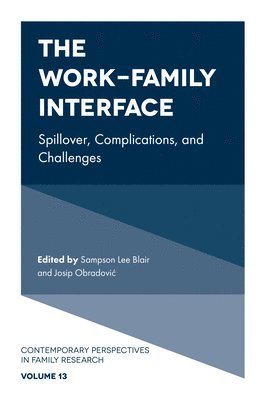 bokomslag The Work-Family Interface
