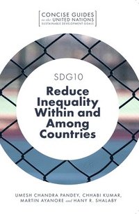 bokomslag SDG10  Reduce Inequality Within and Among Countries
