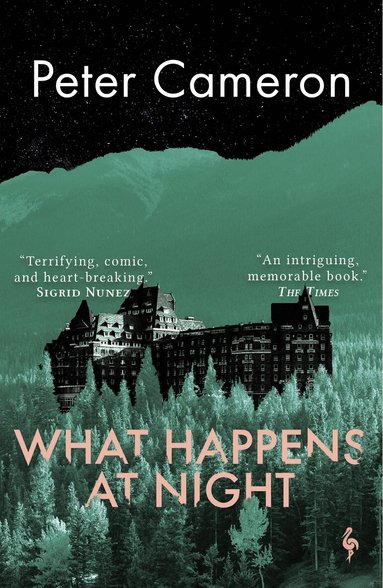Peter Cameron - What Happens at Night, Häftad