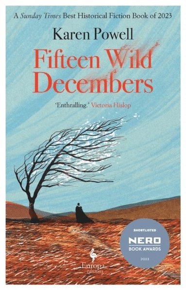 bokomslag Fifteen Wild Decembers