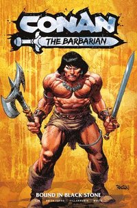 bokomslag Conan the Barbarian Vol. 1