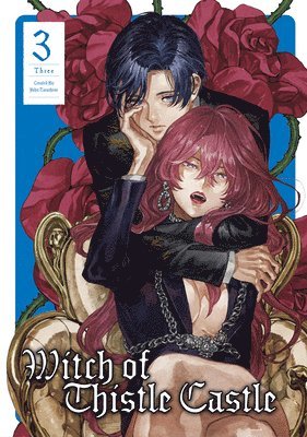 bokomslag Witch of Thistle Castle Vol.3