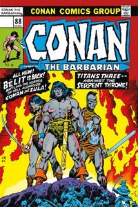 bokomslag Conan The Barbarian: The Original Comics Omnibus Vol.4