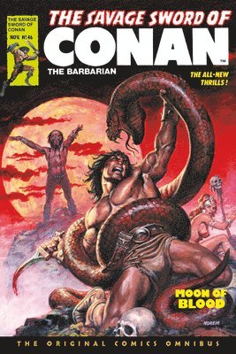 The Savage Sword of Conan: The Original Comics Omnibus Vol.4 1