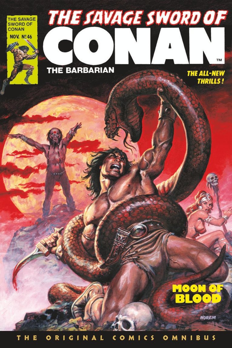 Roy Thomas, John Buscema, Thomas,Roy - Savage Sword of Conan: The Original Comics Omnibus Vol.4, Inbunden