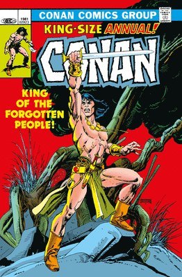 bokomslag Conan The Barbarian: The Original Comics Omnibus Vol.5