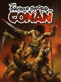 bokomslag The Savage Sword of Conan Vol.4