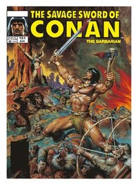 bokomslag The Savage Sword Of Conan: The Original Comics Omnibus Vol.11