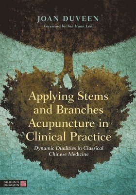 bokomslag Applying Stems and Branches Acupuncture in Clinical Practice