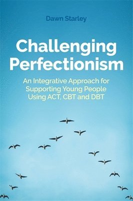 bokomslag Challenging Perfectionism