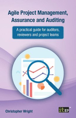 bokomslag Agile Project Management, Assurance and Auditing