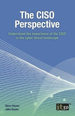 The Ciso Perspective 1