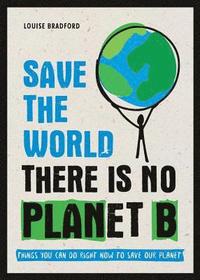 bokomslag Save the World