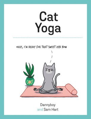 Cat Yoga 1
