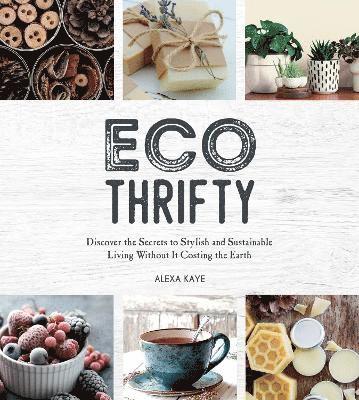 bokomslag Eco-Thrifty