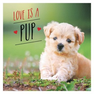 Charlie Ellis - Love is a Pup, Inbunden