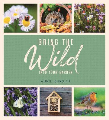 bokomslag Bring the Wild into Your Garden