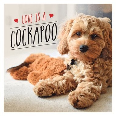 Charlie Ellis - Love is a Cockapoo, Inbunden